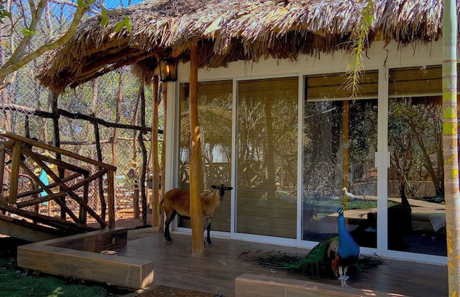 Palm Valley Cabins - Foto 43