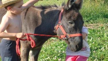 Bauernhof König - Foto 5