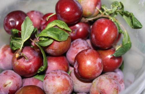 Quinta de São João - Foto 58