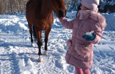 Dom na Krzemienicy - Foto 8