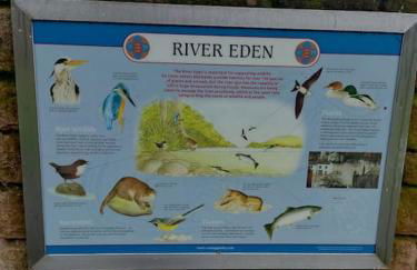 Eden house - Foto 32