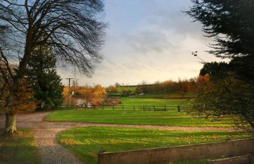 Rose Lodge - Foto 28