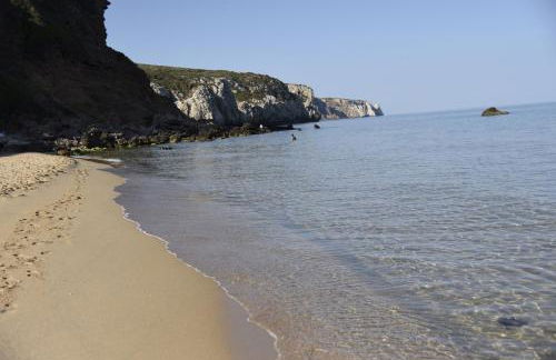 VivIglesias - Photo 37