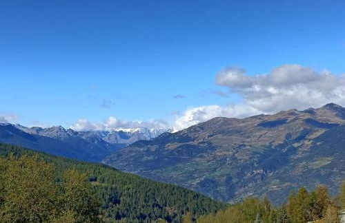 Dal Buffo Gufo - Foto 22