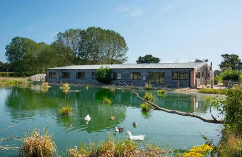 5 Bed in Briston oc-2005 - Photo 6