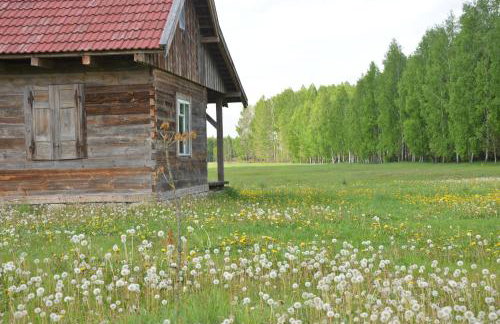 Ciche Podlasie - Foto 32