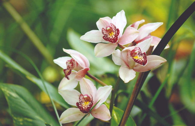 Palmitos Park Ticket - Photo 6