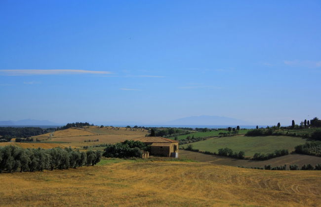 Fattoria Podere i Luoghi - Foto 49