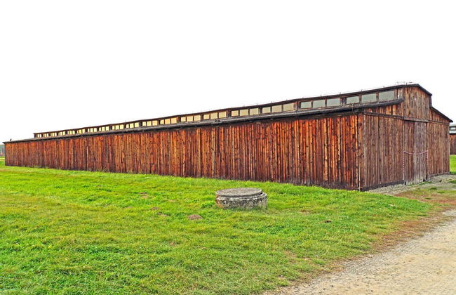 Excursión privada a Auschwitz-Birkenau - Foto 6