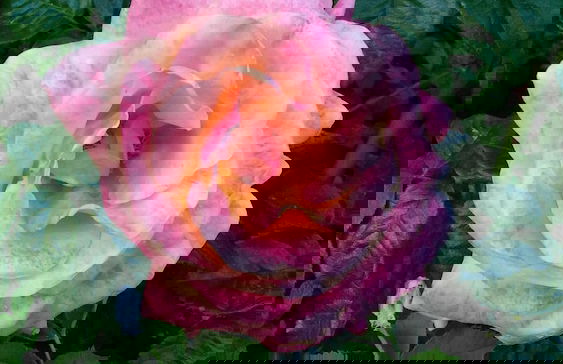 VISITAR BIOUCAS I - Casa Inteira Familiar e Grupo de Amigos - Foto 45