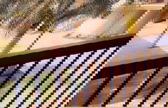 Naf Apartments - Mtwara - Foto 22