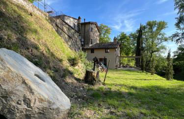 Molino di Cogno - Foto 42