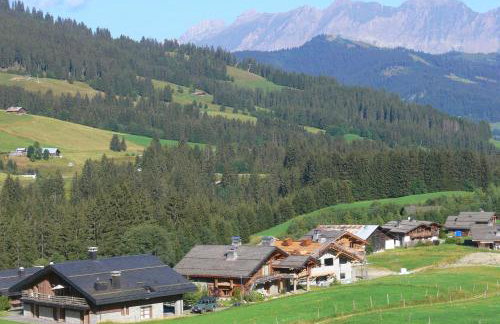 Au Soleil De Megève 750m From Ski - Happy Rentals - Foto 13