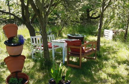 AuszeitOase am sächs. Jakobsweg - Foto 25