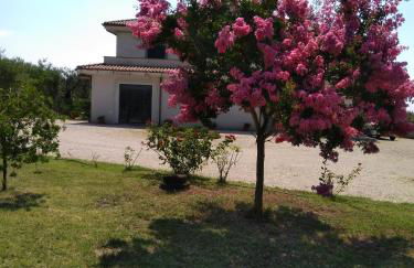 Casa Vacanze Le Rose - Foto 12