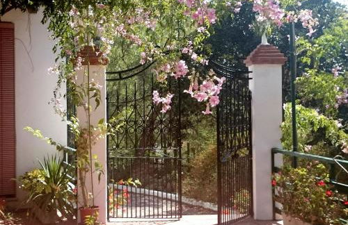 Finca Santa Matilde Málaga - Photo 4