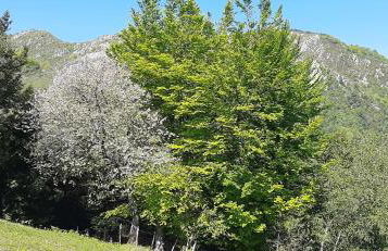 Ondarbaso Apartamentos Rurales II - Foto 25