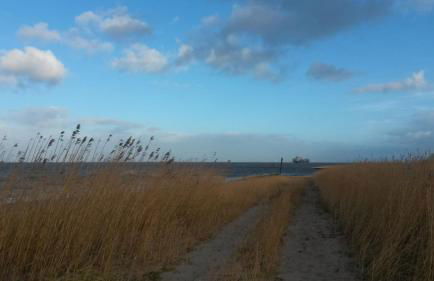 Altes Pastorenhus - Land und Meer - Foto 53