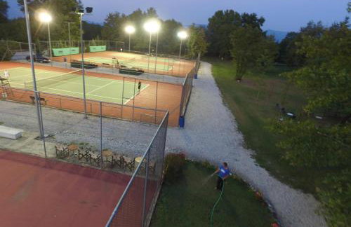 "The plane trees" - Foto 55