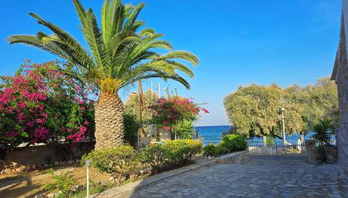 Villa Dolphin - Foto 3, Garden, Garden view