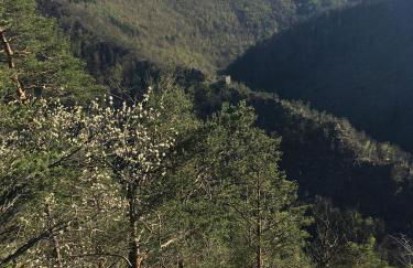 FeWo Burgblick - Foto 22