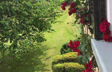 Le Betulle - Foto 23