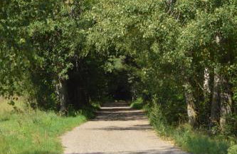 Brzozowy Zakątek - Foto 51