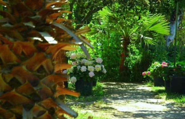 Alfa Apart Otel - Photo 2