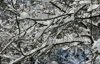 Holiday Home in Nieder-Werbe mit Großer Terrasse by Interhome - Foto 29