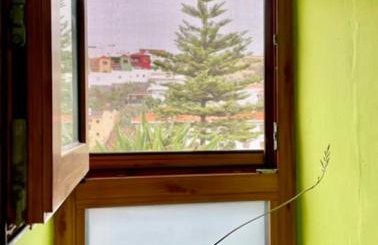 Vv Casa Maye Pepa en Teror - Foto 10