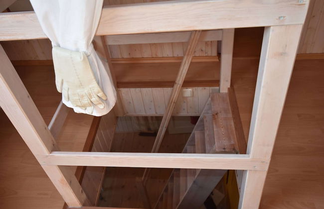 Beautiful Apartment in Damgarten With Garden - Foto 36