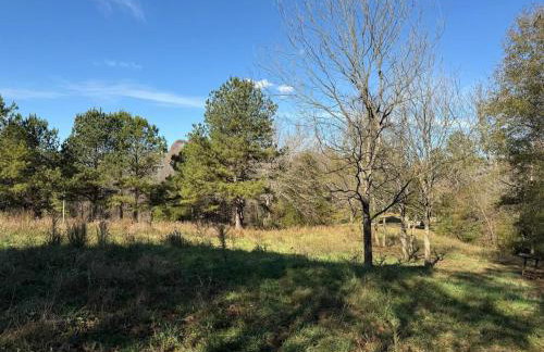 Waterfalls Canyon 41.5 Acres W Miles of Trails - Foto 3