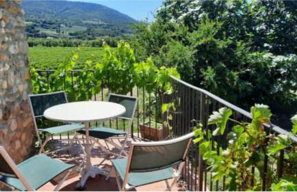 L'ô de vigne, Eden in Provence - Foto 9