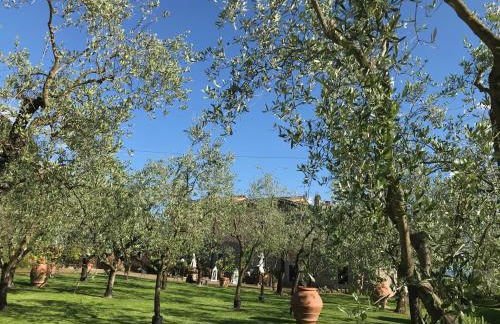 Agriturismo Podere Campiglia - Foto 17