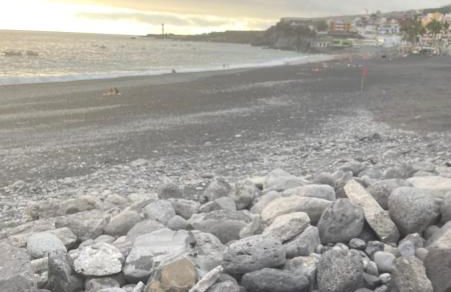 Delfin Playa - Foto 10