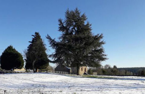 le gite du jardinier - Foto 16