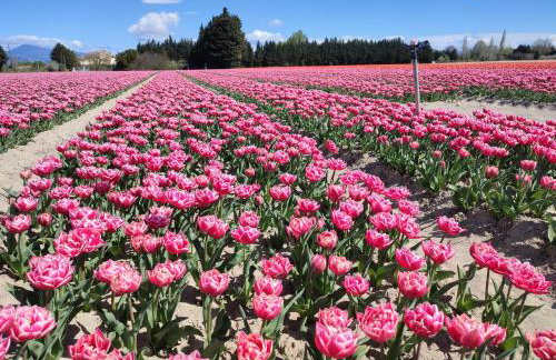 Villa en Provence avec piscine privée proche d'Avignon - Foto 18
