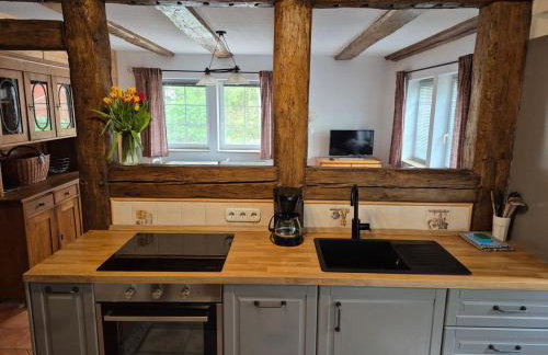 Müritzhof Vipperow direkt am Wasser - Foto 11