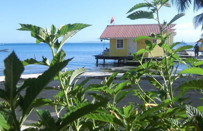 Kevin Condos - Foto 21