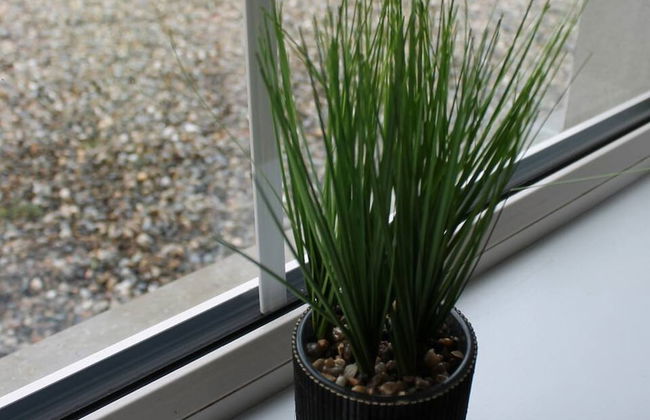 Forest View House Hot Tub Sleeps 9 - Foto 18