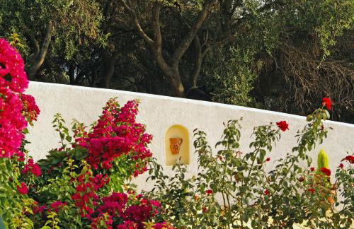 Archontiko Loukis - Foto 18