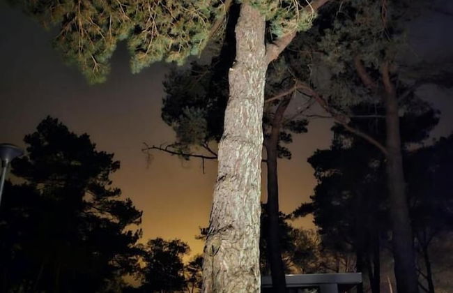 Casa Sallandia met Outdoor Wellness - Foto 40