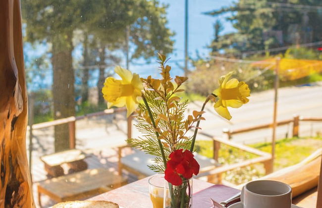 Pailahue Lodge & Cabañas - Photo 66