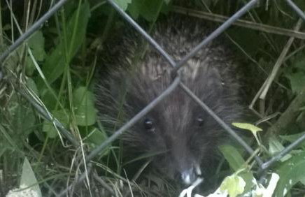 Apartament Leśny Taras z KLIMATYZACJĄ & Garaż podziemny w cenie-728-828-835- Targi Kielce - Foto 60