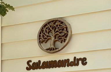 Salamandre - Foto 3