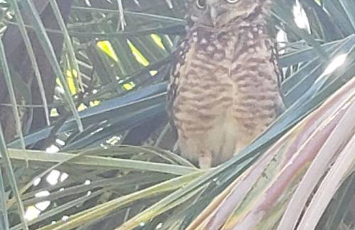 Aldeia dos reis - Mangaratiba - Loft 409 bl 02 - Foto 18