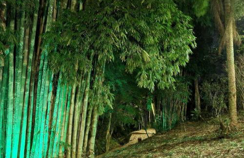 Refúgio Mata Atlântica, Riacho, Piscina, Natureza - Foto 56