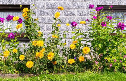 Charmante Dachgeschoss Ferienwohnung im Erzgebirge - Foto 75