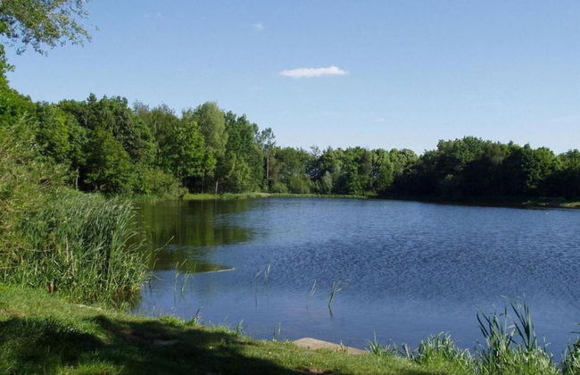 Lodge in Schaijk Near Green Forests - Photo 42