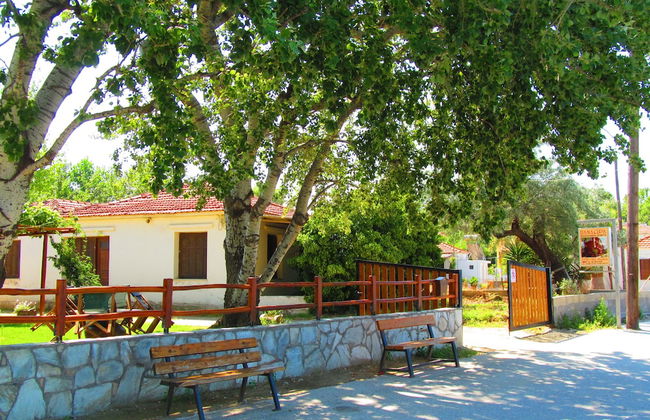 Pandora Studios - Foto 20